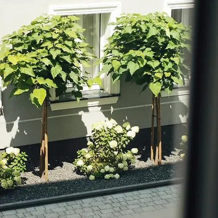 Boogie Kamienica Lodzka Lodž