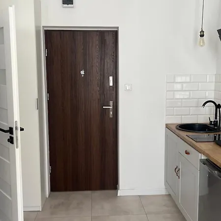 Boogie Kamienica Lodzka מלון דירות לודז'