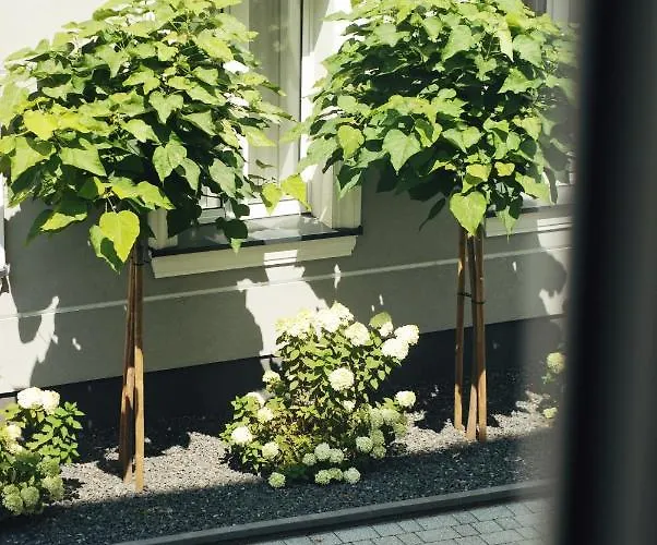 Boogie Kamienica Lodzka Łódź