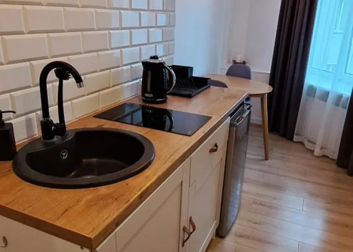 Boogie Kamienica Lodzka Lägenhetshotell Łódź